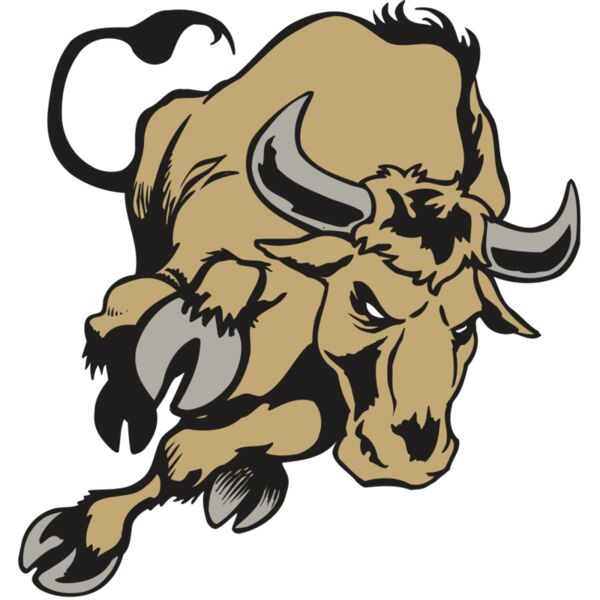 AR BULL 51 RC Thumbnail