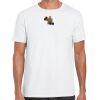 Mens Softstyle Tee Shirt Thumbnail
